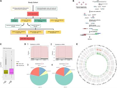 Characterization of Enterovirus Associated m6A RNA Methylation in Children With Neurological Symptoms: A Prospective Cohort Study